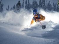 开云平台-当希腊神话照进现实，横扫南非的启示与伊布在意甲焦点战的神性接管