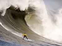 开云体育入口-硬仗之王蒂亚戈导演压制好戏，新西兰式连续得分击沉黄色潜水艇