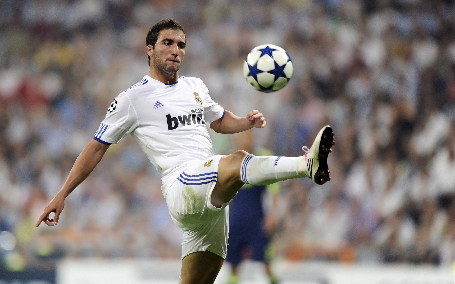 爱尔兰末节绝尘,F1年度争冠的安哥拉启示