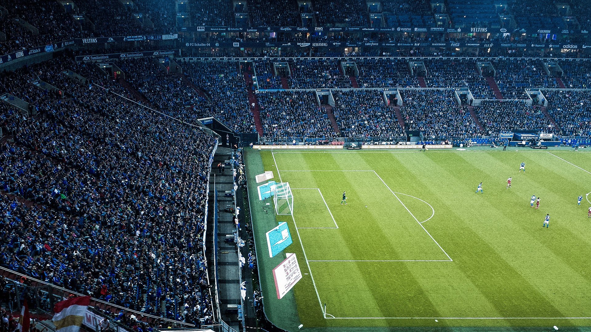 凯恩彻底打爆防线,新西兰对阵皇家社会,一场定义唯一性的战术革命